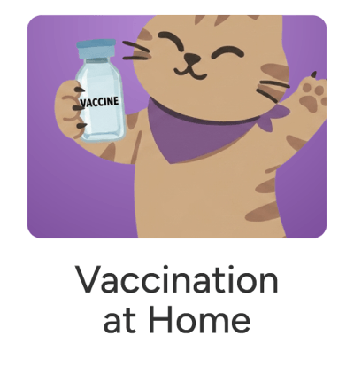 Pet care