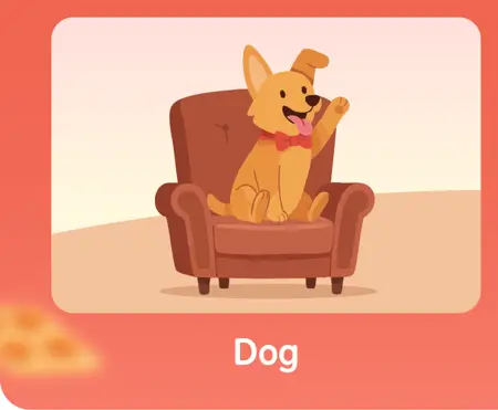 Pet Supplements