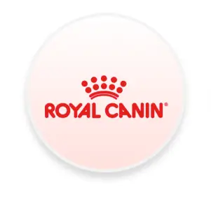 Pet Supplements