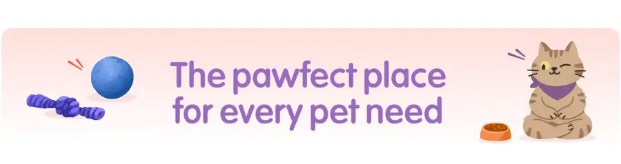 Pet Supplements