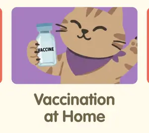 Pet care