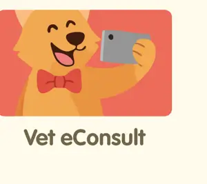 Pet Supplements