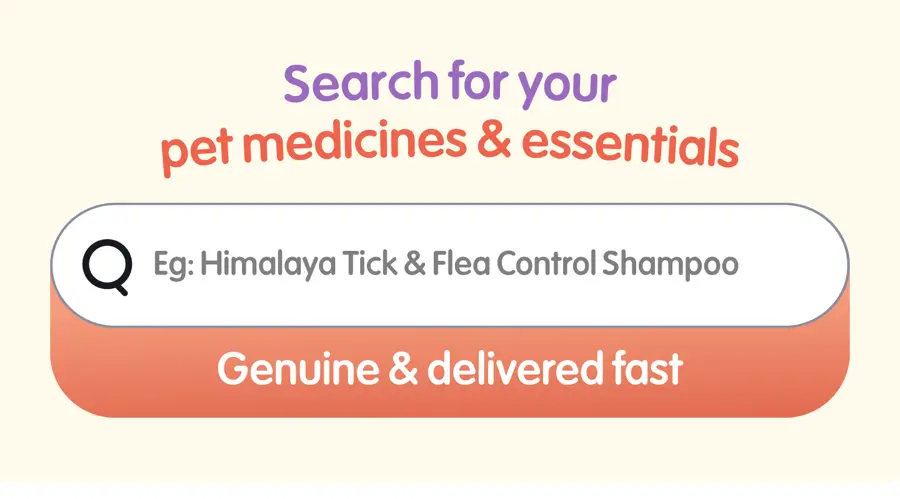 Pet Supplements
