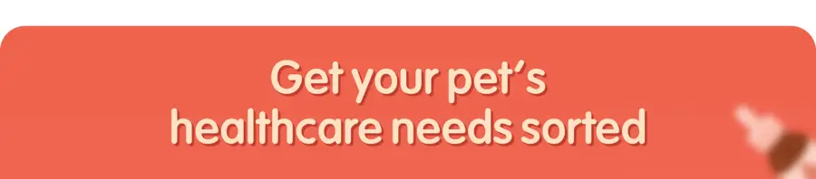 Pet Supplements